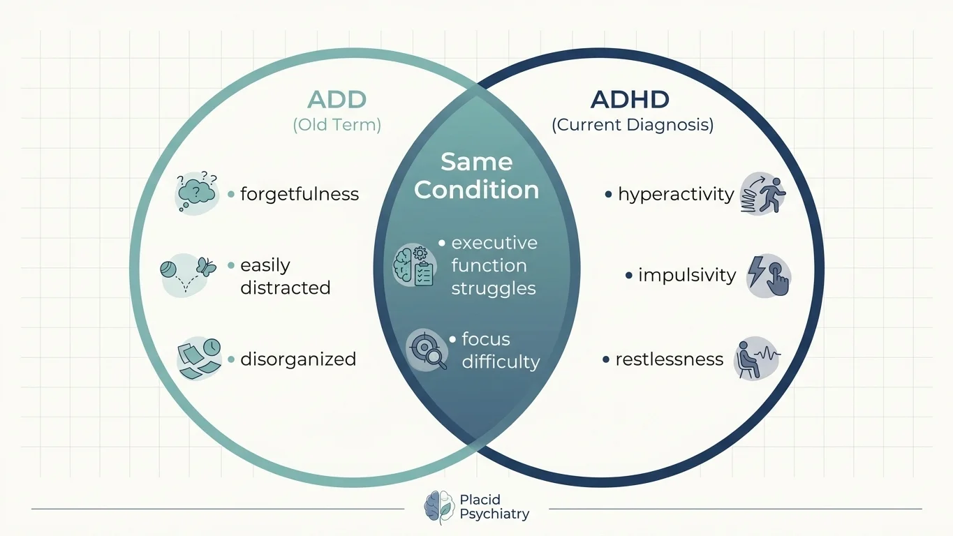Venn diagram of ADD and ADHD